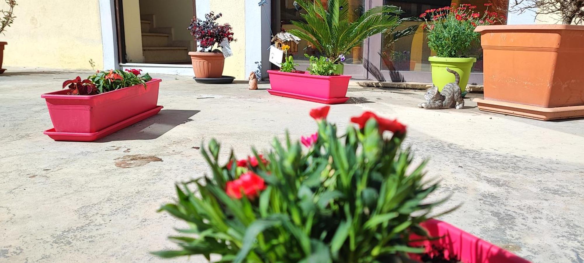 B&B Gioia Catanzaro Zewnętrze zdjęcie